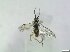  ( - bf-sym-00815)  @11 [ ] CreativeCommons - Attribution Share-Alike (2019) Lønnve, O.J BioFokus