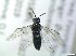  ( - bf-sym-00867)  @12 [ ] CreativeCommons - Attribution Share-Alike (2019) Lønnve, O.J BioFokus