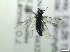  ( - bf-sym-00885)  @11 [ ] CreativeCommons - Attribution Share-Alike (2019) Lønnve, O.J BioFokus