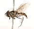  ( - CNC372482)  @13 [ ] No Rights Reserved (2015) Unspecified CNC