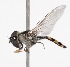  ( - CNC372500)  @13 [ ] No Rights Reserved (2015) Unspecified CNC