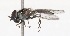  ( - CNC372520)  @13 [ ] No Rights Reserved (2015) Unspecified CNC
