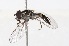  ( - CNC372526)  @13 [ ] No Rights Reserved (2015) Unspecified CNC