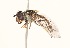  ( - CNC372567)  @13 [ ] No Rights Reserved (2015) Unspecified CNC