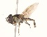  ( - CNC372569)  @13 [ ] No Rights Reserved (2015) Unspecified CNC