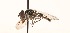  ( - CNC372670)  @13 [ ] No Rights Reserved (2015) Unspecified CNC