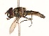  ( - CNC372747)  @13 [ ] No Rights Reserved (2015) Unspecified CNC