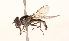  ( - CNC372756)  @13 [ ] No Rights Reserved (2015) Unspecified CNC