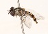  ( - CNC372939)  @13 [ ] No Rights Reserved (2015) Unspecified CNC