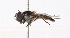  ( - CNC373268)  @13 [ ] No Rights Reserved (2015) Unspecified CNC