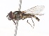  ( - CNC373362)  @13 [ ] No Rights Reserved (2015) Unspecified CNC