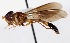  (Asiobaccha - CNC373577)  @15 [ ] No Rights Reserved (2015) Unspecified CNC