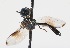  ( - CNC373800)  @12 [ ] No Rights Reserved (2015) Unspecified CNC