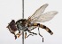  ( - CNC374364)  @13 [ ] No Rights Reserved (2015) Unspecified CNC