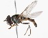  ( - CNC374366)  @13 [ ] No Rights Reserved (2015) Unspecified CNC