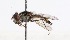  ( - CNC384001)  @13 [ ] No Rights Reserved (2015) Unspecified CNC