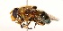  ( - CNC384033)  @11 [ ] No Rights Reserved (2015) Unspecified CNC