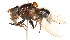  ( - CNC384045)  @11 [ ] No Rights Reserved (2015) Unspecified CNC