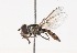  ( - CNC385818)  @14 [ ] No Rights Reserved (2015) Unspecified CNC