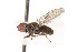  ( - CNC386077)  @14 [ ] No Rights Reserved (2015) Unspecified CNC