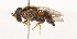  ( - CNC395650)  @13 [ ] No Rights Reserved (2015) Unspecified CNC