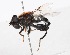  ( - CNC395659)  @11 [ ] No Rights Reserved (2015) Unspecified CNC