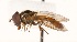  ( - CNC395781)  @11 [ ] No Rights Reserved (2015) Unspecified CNC