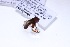  ( - CNC1059089)  @11 [ ] No Rights Reserved (2018) Unspecified CNC