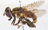  ( - AustralianMuseumK406720)  @11 [ ] No Rights Reserved (2015) Unspecified CNC