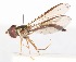  ( - AustralianMuseumK410200)  @11 [ ] No Rights Reserved (2015) Unspecified CNC