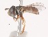  ( - AustralianMuseumK448256)  @13 [ ] No Rights Reserved (2015) Unspecified CNC