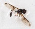  ( - CNC384902)  @12 [ ] No Rights Reserved (2015) Unspecified CNC