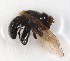  ( - CNC384928)  @12 [ ] No Rights Reserved (2015) Unspecified CNC