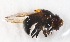  ( - CNC384953)  @12 [ ] No Rights Reserved (2015) Unspecified CNC