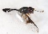  ( - CNC384956)  @12 [ ] No Rights Reserved (2015) Unspecified CNC