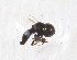  ( - CNC384991)  @11 [ ] No Rights Reserved (2015) Unspecified CNC