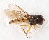  ( - CNC385016)  @13 [ ] No Rights Reserved (2015) Unspecified CNC