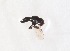  ( - CNC385057)  @11 [ ] No Rights Reserved (2015) Unspecified CNC