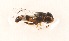  ( - CNC385059)  @12 [ ] No Rights Reserved (2015) Unspecified CNC
