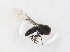  ( - CNC385086)  @11 [ ] No Rights Reserved (2015) Unspecified CNC