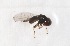 ( - CNC395953)  @11 [ ] No Rights Reserved (2015) Unspecified CNC
