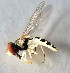  (Toxomerus vertebratus - CNC457684)  @11 [ ] No Rights Reserved (2015) Unspecified CNC