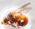  ( - CNC470447)  @11 [ ] No Rights Reserved (2015) Unspecified CNC