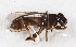  ( - JeffSkevingtonSpecimen#31336)  @13 [ ] No Rights Reserved (2015) Unspecified CNC