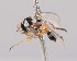  ( - Jeff_Skevington_Specimen43834)  @11 [ ] No Rights Reserved (2015) Unspecified CNC