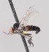  ( - Jeff_Skevington_Specimen43835)  @11 [ ] No Rights Reserved (2015) Unspecified CNC