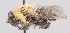  ( - Jeff_Skevington_Specimen43867)  @12 [ ] No Rights Reserved (2015) Unspecified CNC
