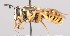  ( - Jeff_Skevington_Specimen43868)  @11 [ ] No Rights Reserved (2015) Unspecified CNC