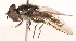  (Xanthandrus sp. 88-7 - QM_REG._NO._T220128)  @11 [ ] No Rights Reserved (2015) Unspecified CNC