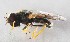  ( - Sander_Bot_Specimen#17)  @13 [ ] No Rights Reserved (2015) Unspecified CNC